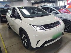 BYD Dolphin 420km Freedom Edition - photo 3