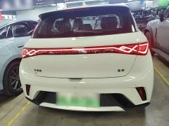 BYD Dolphin 420km Freedom Edition - photo 5