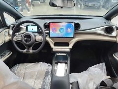 BYD Dolphin 420km Freedom Edition - photo 9