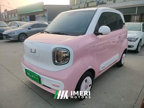 2024 FAW Besturn Xiaoma 170km Yuanqi Ma - ავტომობილი ჩინეთიდან