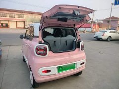 FAW Besturn Xiaoma 170km Yuanqi Ma - ფოტო 18