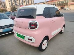 FAW Besturn Xiaoma 170km Yuanqi Ma - ფოტო 6