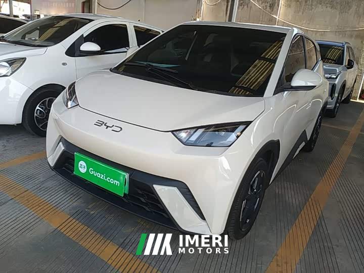 BYD Seagull Freedom Edition - ავტომობილი ჩინეთიდან