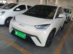 BYD Seagull Freedom Edition - ფოტო 1