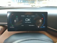 BYD Seagull Freedom Edition - ფოტო 11