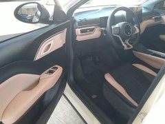 BYD Seagull Freedom Edition - ფოტო 15