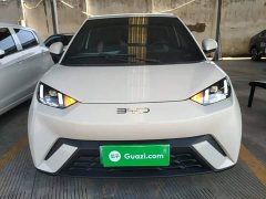 BYD Seagull Freedom Edition - ფოტო 2