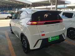 BYD Seagull Freedom Edition - ფოტო 4