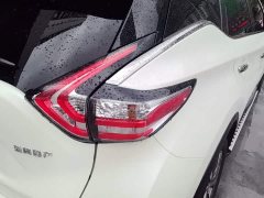 Nissan Murano 2.5L XE FWD Elite - photo 18