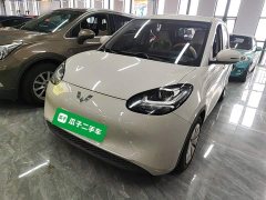 Wuling Binguo 333km Quick Enjoy Edition - ფოტო 1