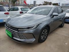 BYD Destroyer 05 Champion Edition DM-i 55KM Luxury - ფოტო 1