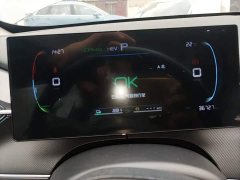 BYD Destroyer 05 Champion Edition DM-i 55KM Luxury - ფოტო 11
