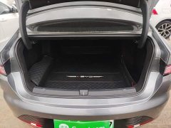 BYD Destroyer 05 Champion Edition DM-i 55KM Luxury - ფოტო 18