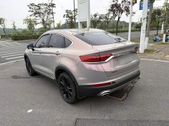 Geely Edition 260T - photo 10