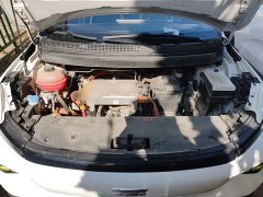 Geely Geometry E Firefly 320KM Cute Tiger 4-Seater - ფოტო 19