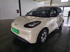 Wuling Binguo 333km Joy Edition - ფოტო 1