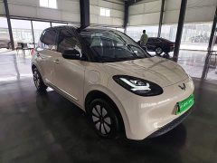 Wuling Binguo 333km Joy Edition - ფოტო 3