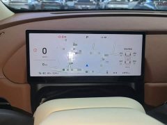 ORA Good Cat 430km Deluxe Edition - ფოტო 11