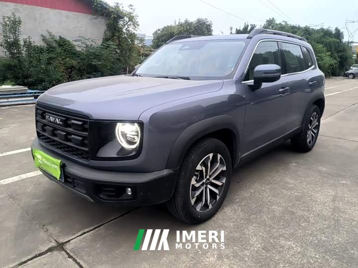 Great Wall Dachshund 1.5T DCT Border Collie Edition