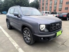 Great Wall Dachshund 1.5T DCT Border Collie Edition - ფოტო 3