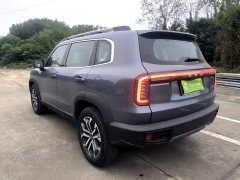 Great Wall Dachshund 1.5T DCT Border Collie Edition - ფოტო 4