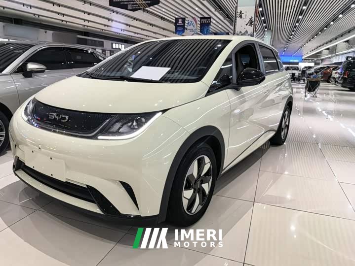 BYD Dolphin Glory Edition 420km Freedom Version