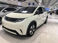 BYD Dolphin Glory Edition 420km Freedom Version - ფოტო 1