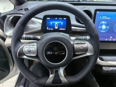 BYD Dolphin Glory Edition 420km Freedom Version - ფოტო 10