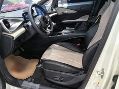 BYD Dolphin Glory Edition 420km Freedom Version - ფოტო 14