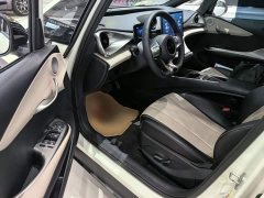 BYD Dolphin Glory Edition 420km Freedom Version - ფოტო 15