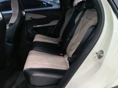 BYD Dolphin Glory Edition 420km Freedom Version - ფოტო 16