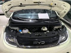 BYD Dolphin Glory Edition 420km Freedom Version - ფოტო 19