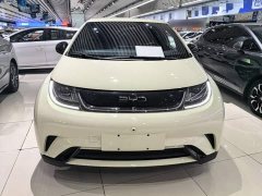 BYD Dolphin Glory Edition 420km Freedom Version - ფოტო 2