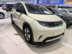 BYD Dolphin Glory Edition 420km Freedom Version - ფოტო 3