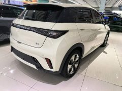 BYD Dolphin Glory Edition 420km Freedom Version - ფოტო 6