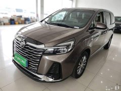Buick GL8 Land Executive Cabin 652T Luxury - ფოტო 1