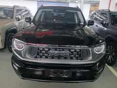 Haval Big Dog PLUS 2.0T Two-Wheel Drive Trendy Wilderness Edition Plus - ფოტო 2