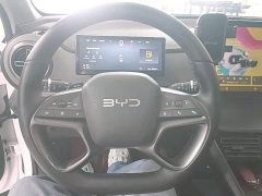 BYD Sealion 05 DM-i Smart Driving Edition 75KM Luxury Edition - ფოტო 10