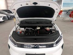BYD Sealion 05 DM-i Smart Driving Edition 75KM Luxury Edition - ფოტო 19