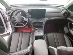BYD Sealion 05 DM-i Smart Driving Edition 75KM Luxury Edition - ფოტო 9