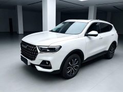 Haval H6 National Trend Edition 1.5T Automatic Urban Version - ფოტო 1