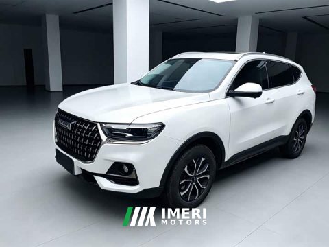 2023 Haval H6 National Trend Edition 1.5T Automatic Urban Version - ავტომობილი ჩინეთიდან