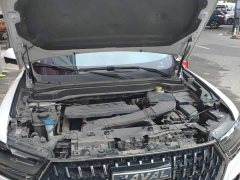Haval H6 National Trend Edition 1.5T Automatic Urban Version - ფოტო 19