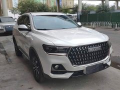 Haval H6 National Trend Edition 1.5T Automatic Urban Version - ფოტო 3