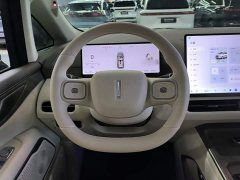 Great Wall WEY Shanshan New Energy Four-Wheel Drive Shanshan 8 - ფოტო 10