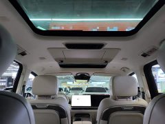 Great Wall WEY Shanshan New Energy Four-Wheel Drive Shanshan 8 - ფოტო 17