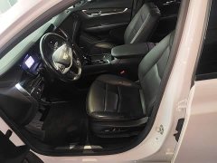 Cadillac XT5 2.0T AWD Luxury Hummingbird Edition - ფოტო 14