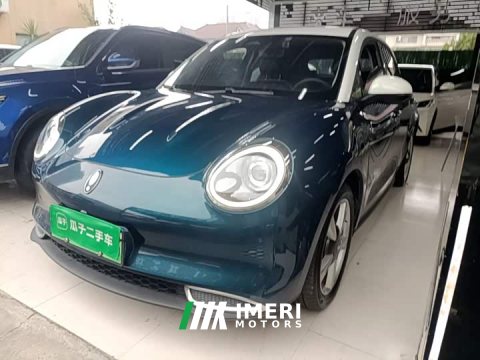 2021 ORA Good Cat 400km Standard Range Venus Edition LFP Battery - ავტომობილი ჩინეთიდან