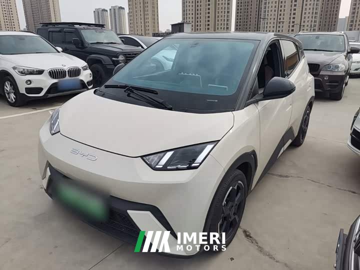 BYD Seagull Freedom Edition - ავტომობილი ჩინეთიდან