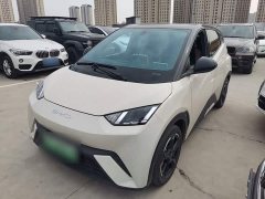 BYD Seagull Freedom Edition - ფოტო 1